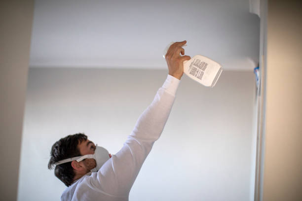 Best Commercial Mold Removal  in Burton, SC